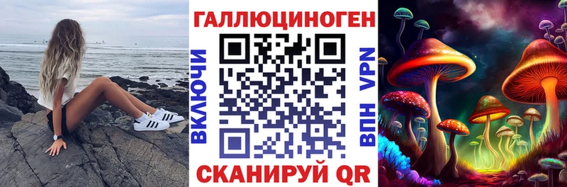 где можно купить   Лобня  Псилоцибиновые грибы Psilocybe 